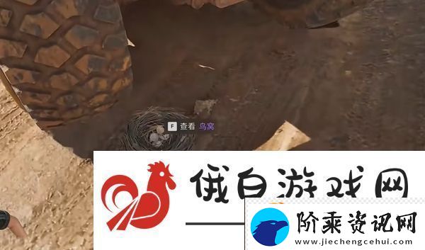 三角洲行动零号大坝鸟窝点位
