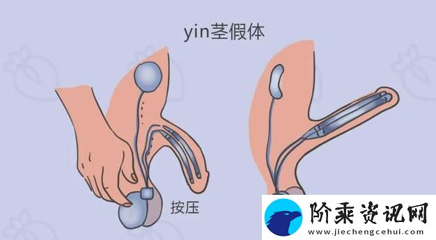 成人羞羞