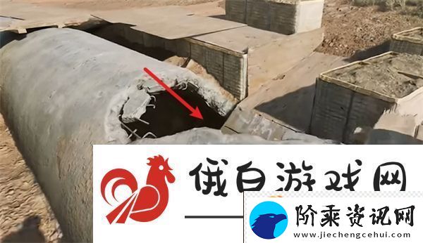 三角洲行动零号大坝鸟窝点位