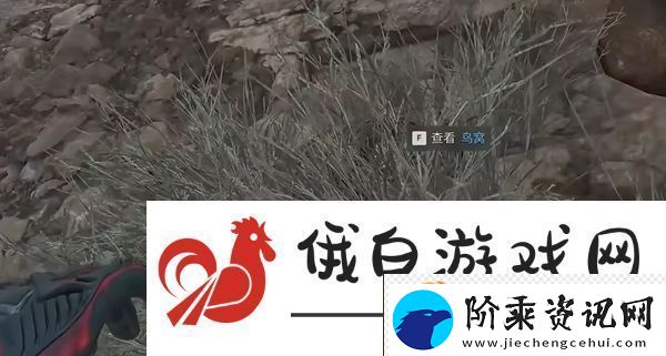 三角洲行动零号大坝鸟窝点位