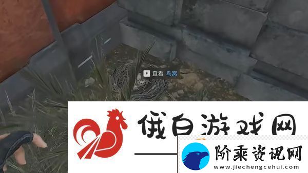 三角洲行动零号大坝鸟窝点位