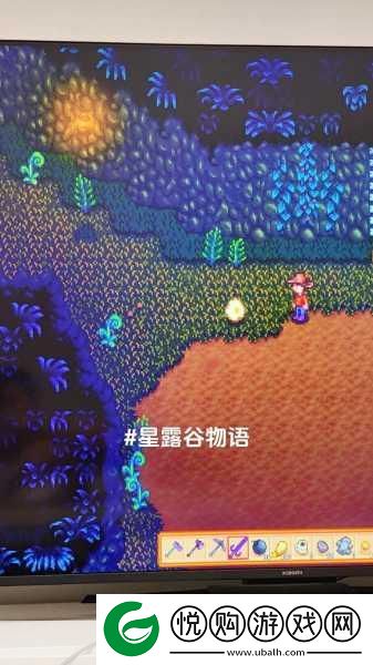 星露谷物语