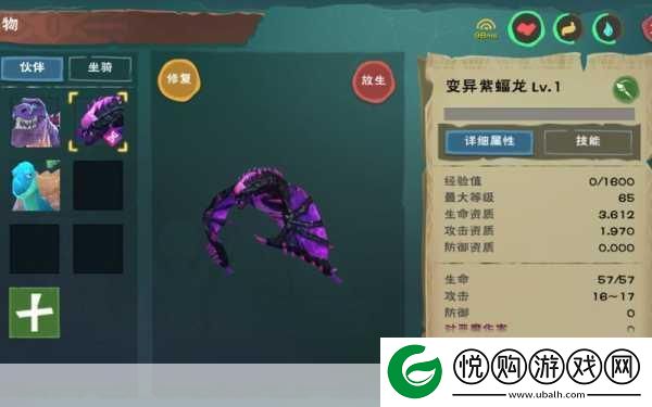 揭秘！创造与魔法六阶紫蝠龙合成全攻略