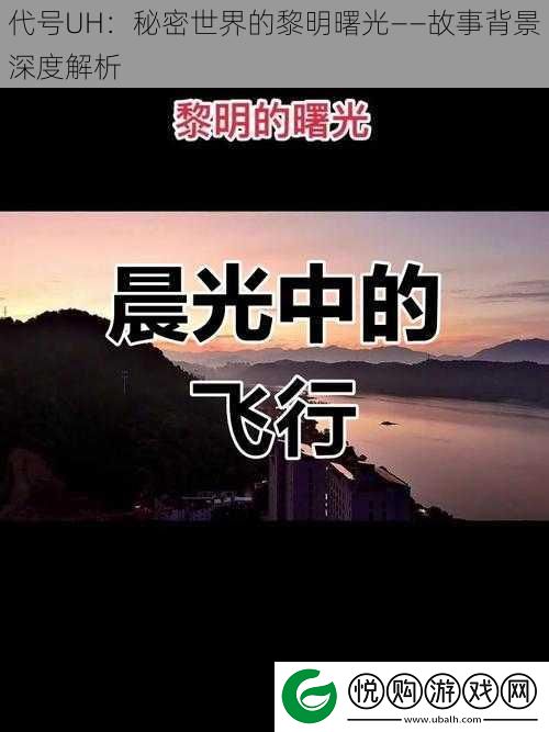 代号UH