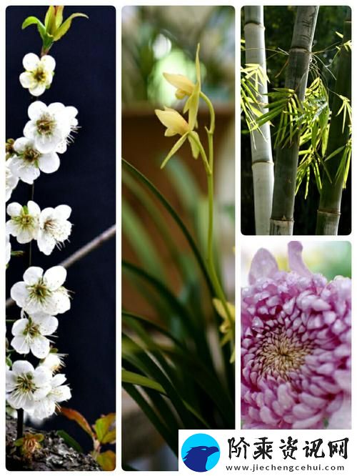 国产做受入口竹菊