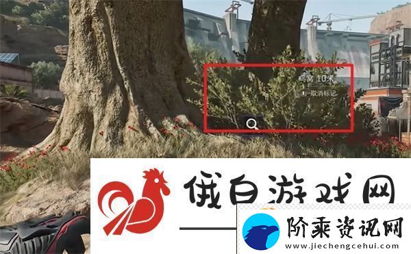 三角洲行动零号大坝鸟窝点位
