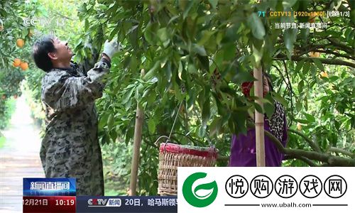 v3tv下载