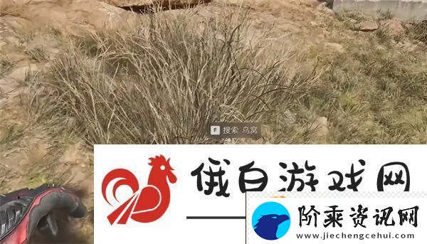 三角洲行动零号大坝鸟窝点位