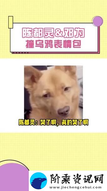 阿娇吃鸟图表情包原图