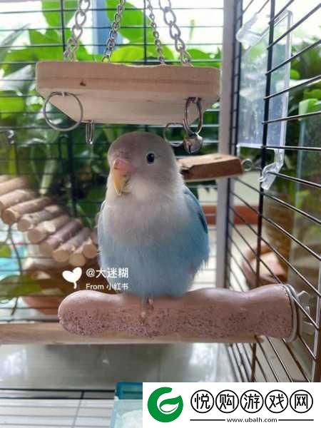 剑3语不休宠物奇遇