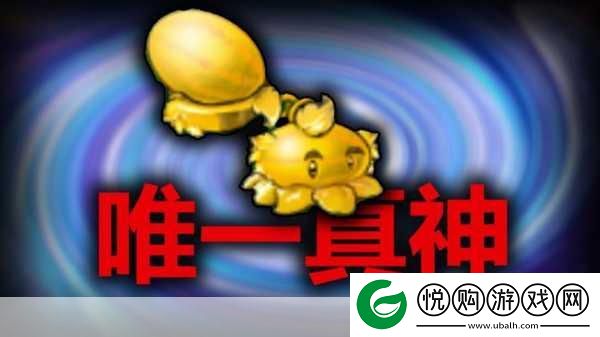 黄金西瓜投手