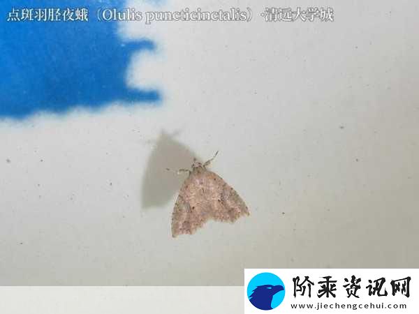 锕铜铜铜铜