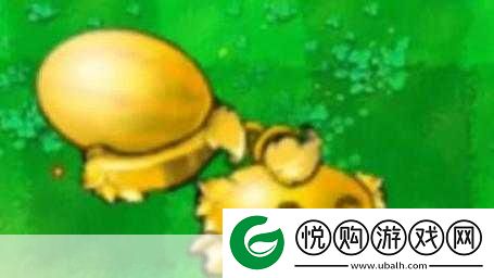 黄金西瓜投手