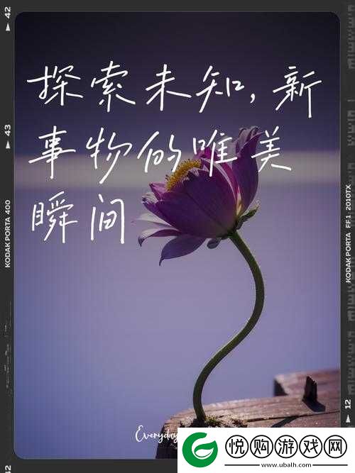 **——探索未知领域的优质平台