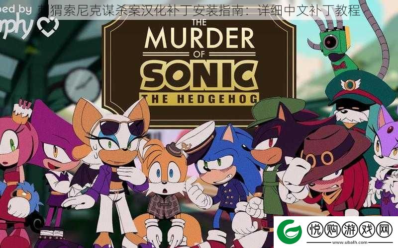 刺猬索尼克**案汉化补丁安装指南
