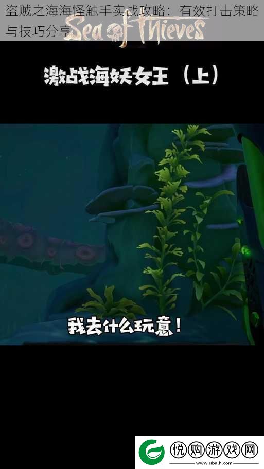 盗贼之海海怪触手实战攻略