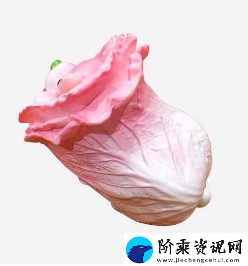 粉红大白菜法国