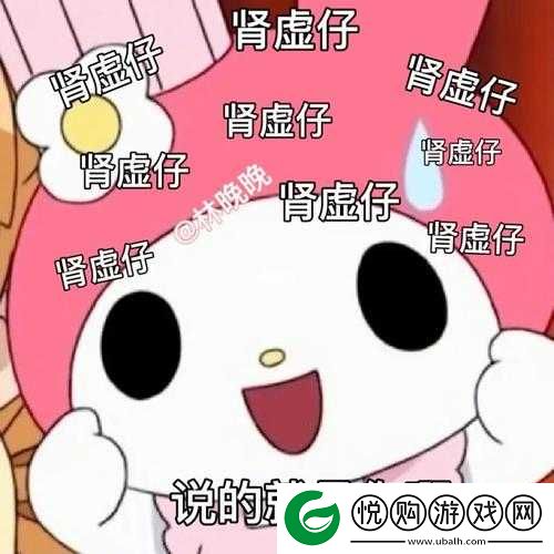 肾虚五连是哪五个软件具体名称及相关探讨