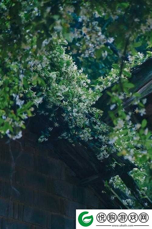 浓精浇灌小白花和普通版对比
