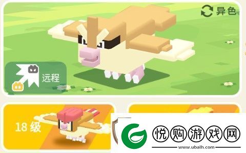 宝可梦大探险波波攻略