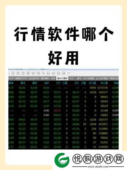 免费行情软件网站 mnw 提供精准实时行情助您轻松投资决策