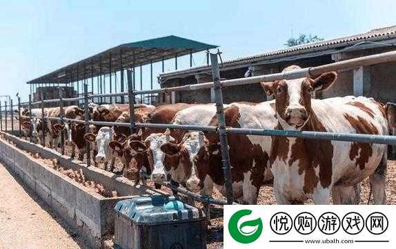 与畜禽狗