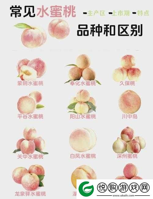 水蜜桃一品二品的独特魅力与非凡品鉴