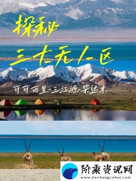 无人区码一码二码三码ww