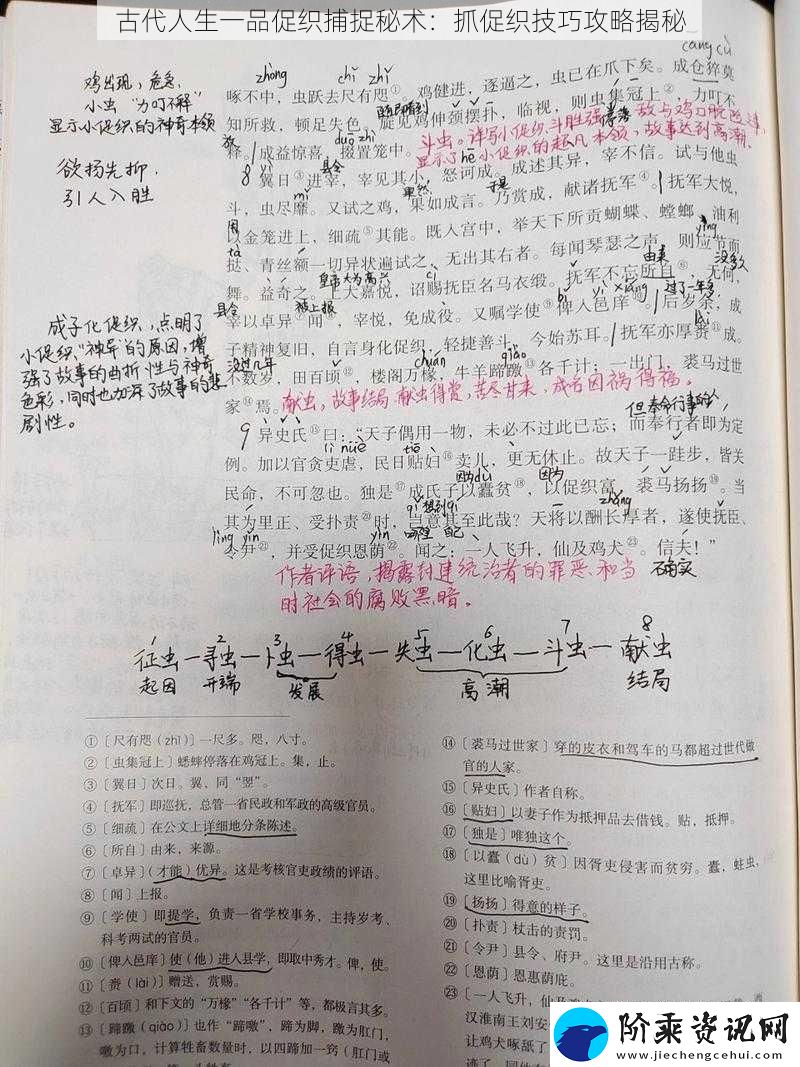 古代人生一品促织捕捉秘术
