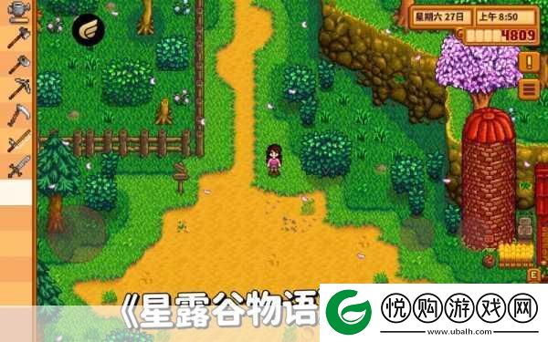 星露谷物语深度探索