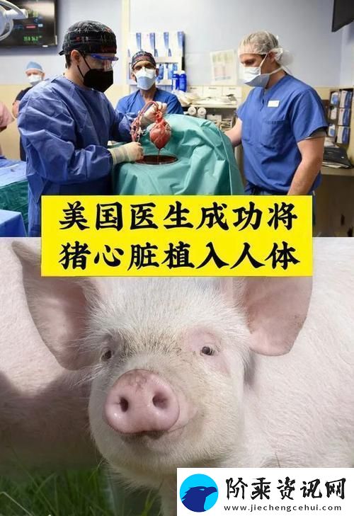基因狂想曲