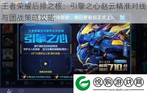 王者荣耀后排之核