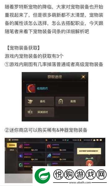 DNF手游宠物装备获取全攻略