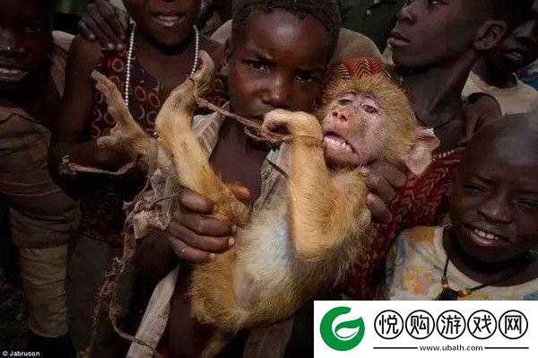 人与兽大黄片