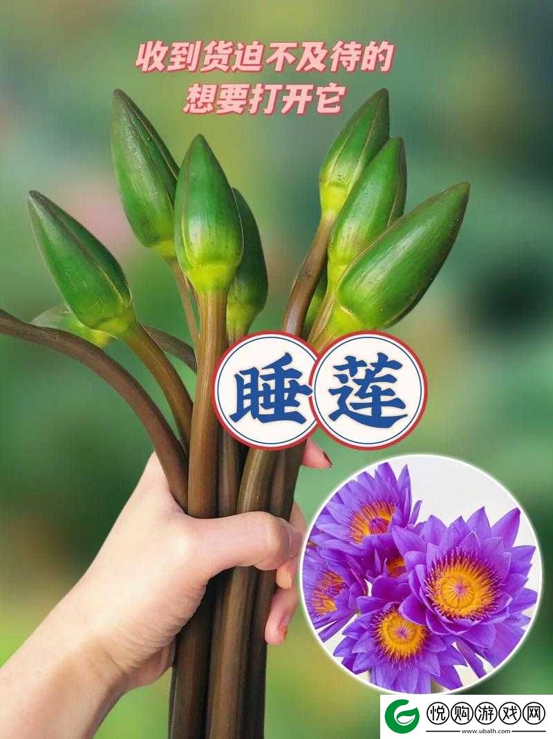 女人半夜莲花开很难受怎么办之相关应对方法探讨