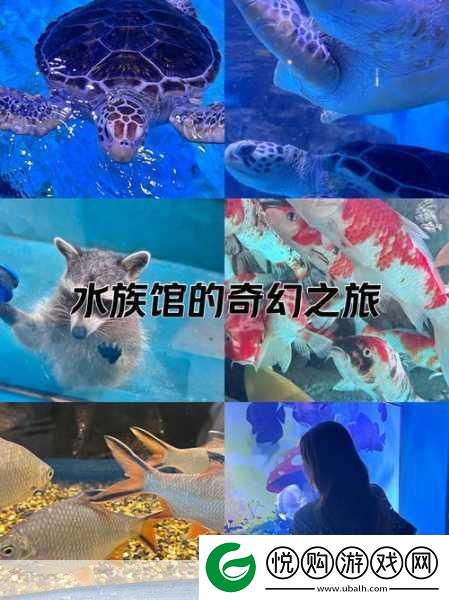 探索海底奇遇尽在多多海洋动物游戏APP！
