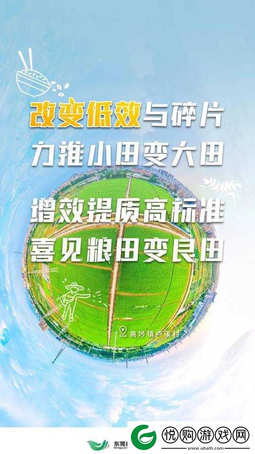 大地中文资源 5 页