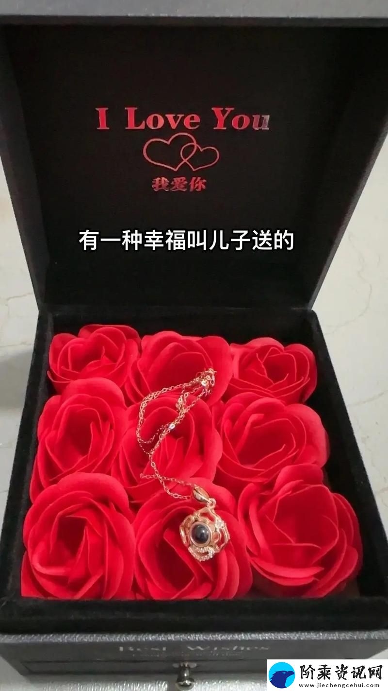 好儿子