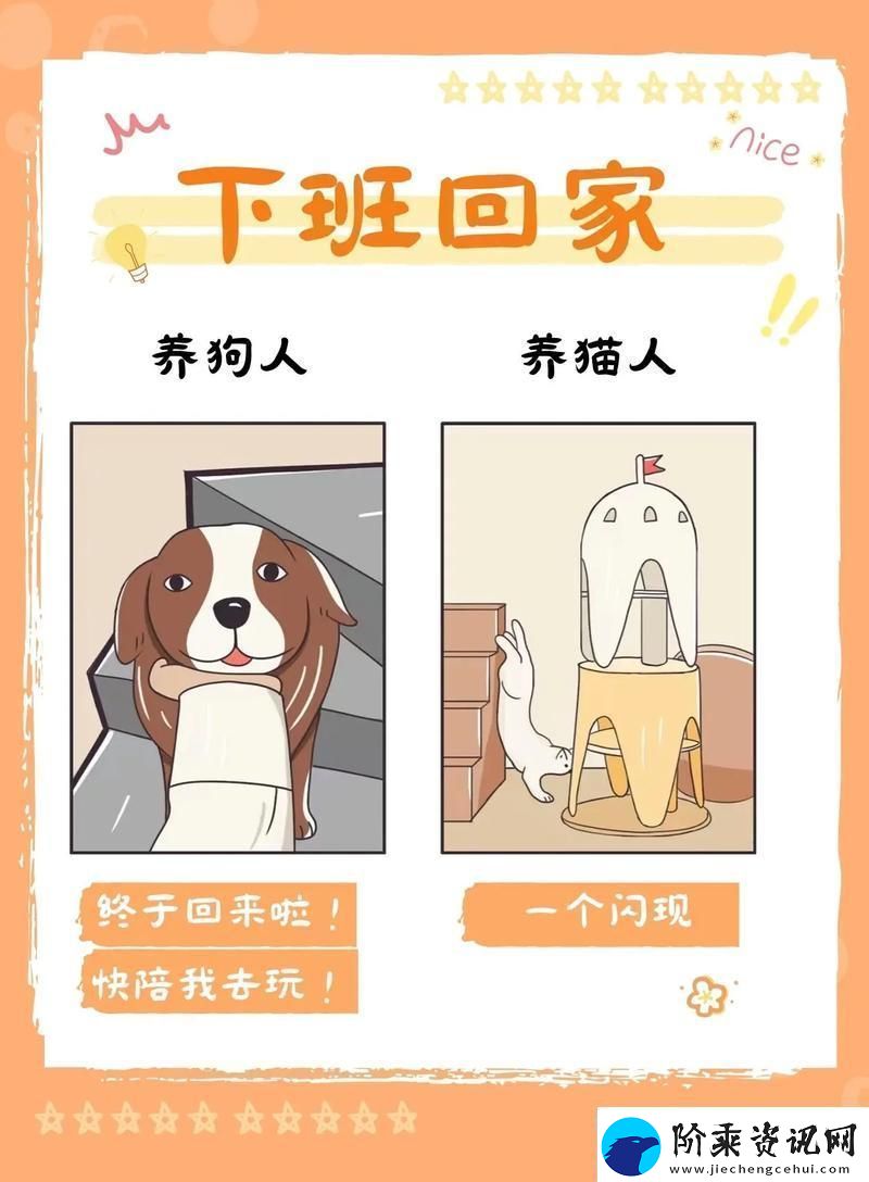 猫咪狗狗共舞