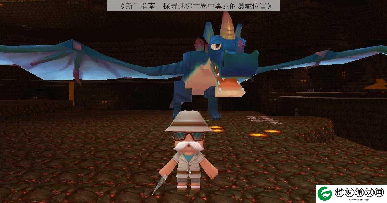 新手指南