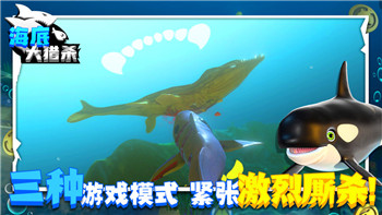 活下去专属悍**样式