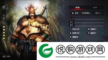 鸿图之下深度剖析，**王孟获的荣耀征程与非凡智慧展现