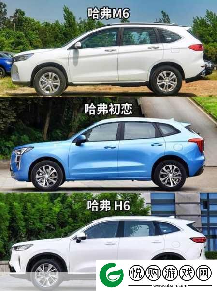 久免费一级SUV好看的国产