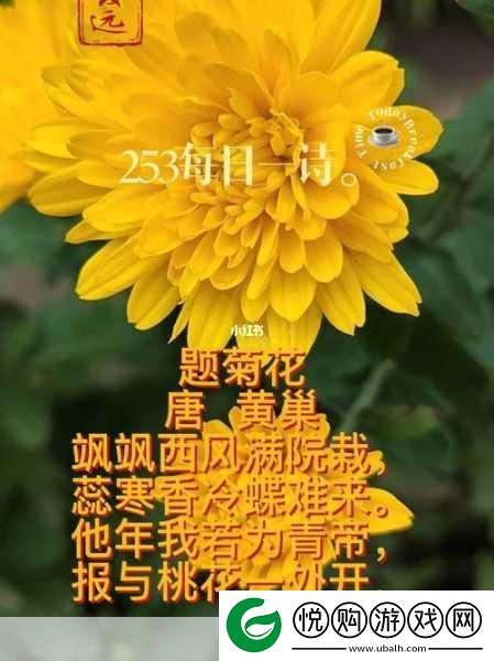 答错一题菊花放一支笔谢俞