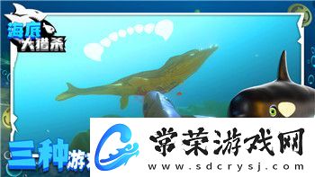 波西亚时光