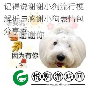 记得说谢谢小狗流行梗解析与感谢小狗表情包分享季