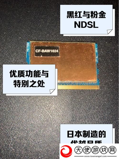 DDR1在线观看免费版
