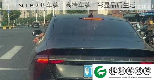 sone308