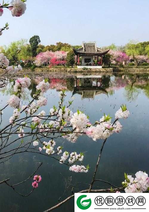 母亲的桃花源