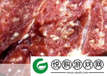 进入梦里超级肉禽系统的全新体验